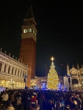 Immagine campione originale