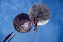 Immagine campione originale