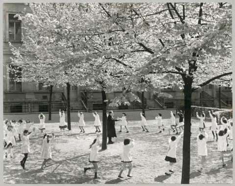 M9 Mostra Oltre lo sport, Olimpiadi 2026