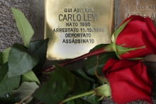 Immagine campione originale