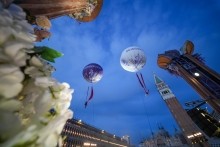 Immagine campione originale