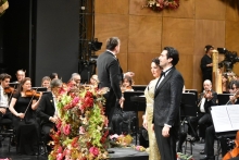 Immagine campione originale