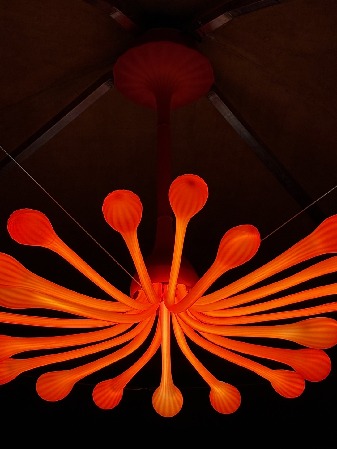 Murano Illumina il Mondo