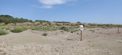 Area protetta Lido
