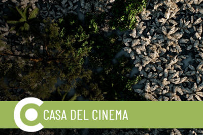 Despojo y Memoria de la tierra Circuito Cinema