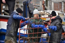 Immagine campione originale