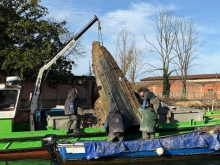 Immagine campione originale