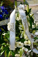 Immagine campione originale