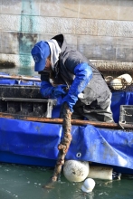 Immagine campione originale