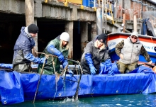 Immagine campione originale