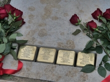 Immagine campione originale