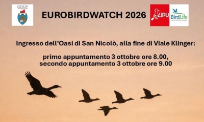 S. Nicolò Eurobirdwatch 2026