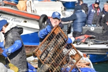 Immagine campione originale