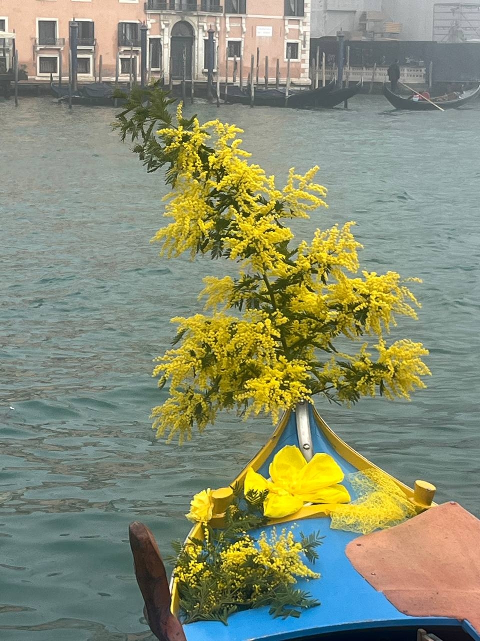 Regata delle donne Bucintoro