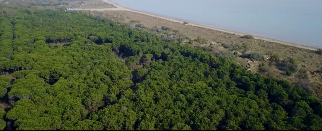 Panorama degli Alberoni