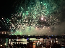 Immagine campione originale