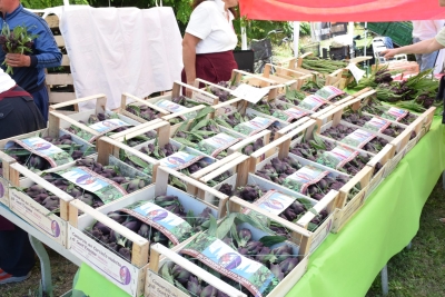 Isola Sant'Erasmo 17^ Festa del Carciofo violetto