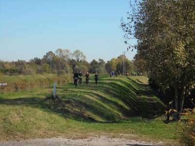 Nordic Walking March