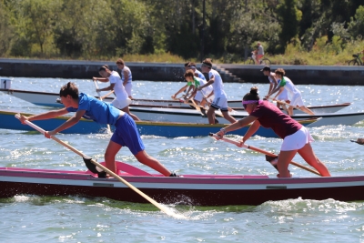 Regata degli Alberoni 