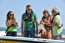 Immagine campione originale