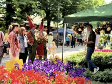 Immagine campione originale