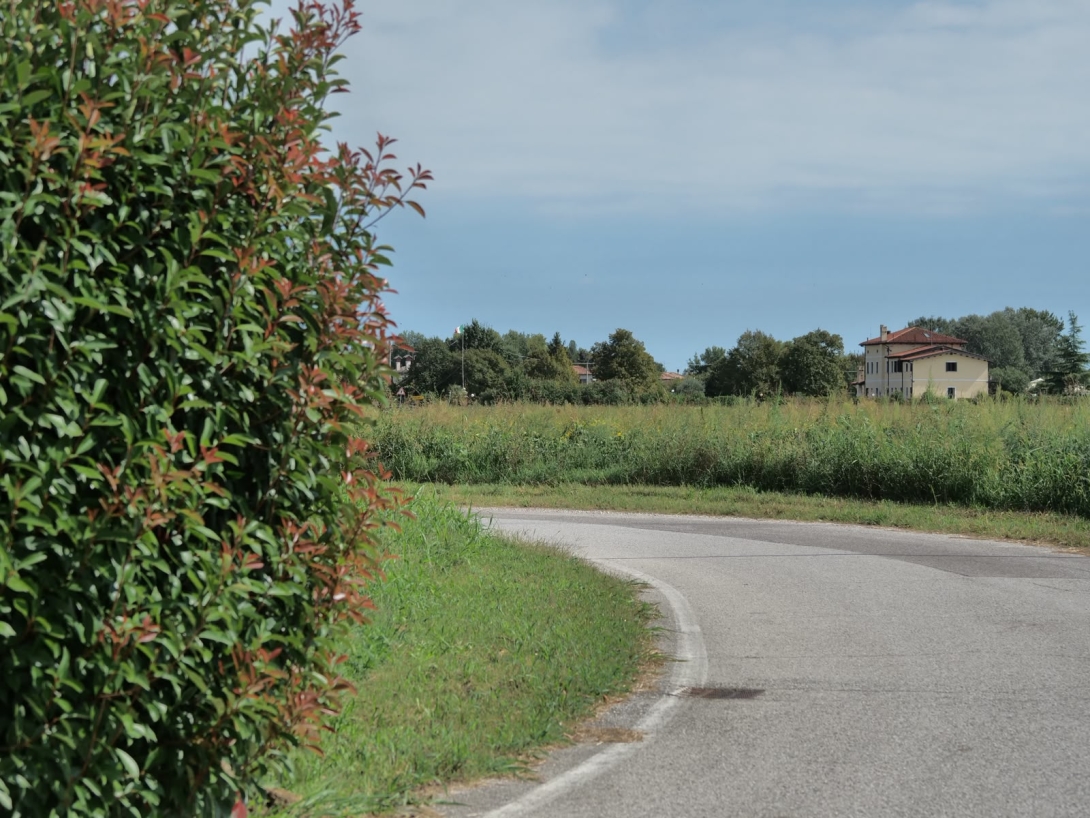 Ordinanza caccia