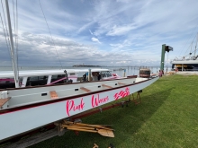 Immagine campione originale