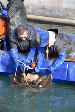 Immagine campione originale