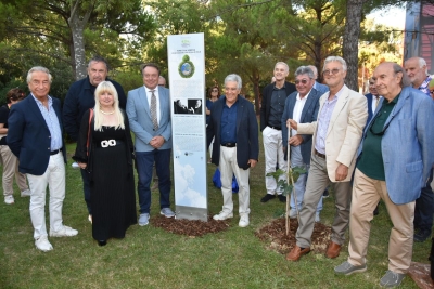 Albero fico giardino Palazzo del Cinema