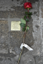 Immagine campione originale