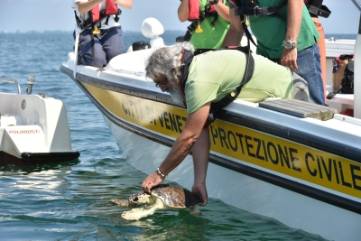 Messa in libertà di due tartarughe marine curate al centro primo soccorso tartarughe marine del Lido di Venezia