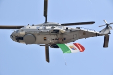 Immagine campione originale