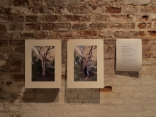 Immagine campione originale