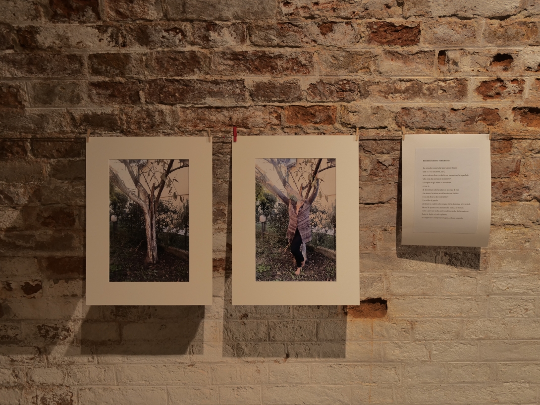 Novembre donna, Mostra Ri-scatti