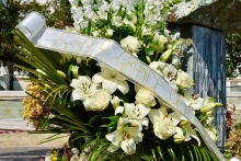 Immagine campione originale