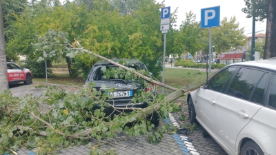 auto con danni da maltempo