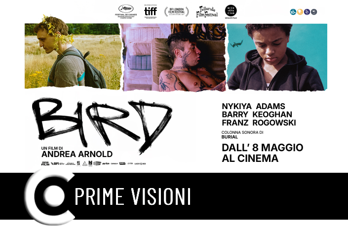 Circuito Cinema Maggio