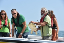 Immagine campione originale