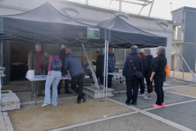 Alberi in pianura 2025