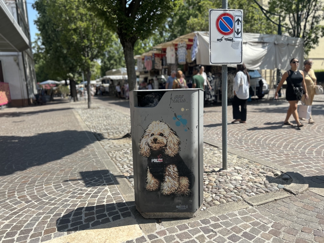 La Street Art colora il Comune di Venezia 