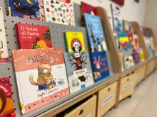 Immagine campione originale