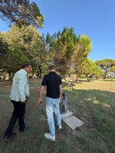 Immagine campione originale