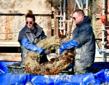 Immagine campione originale