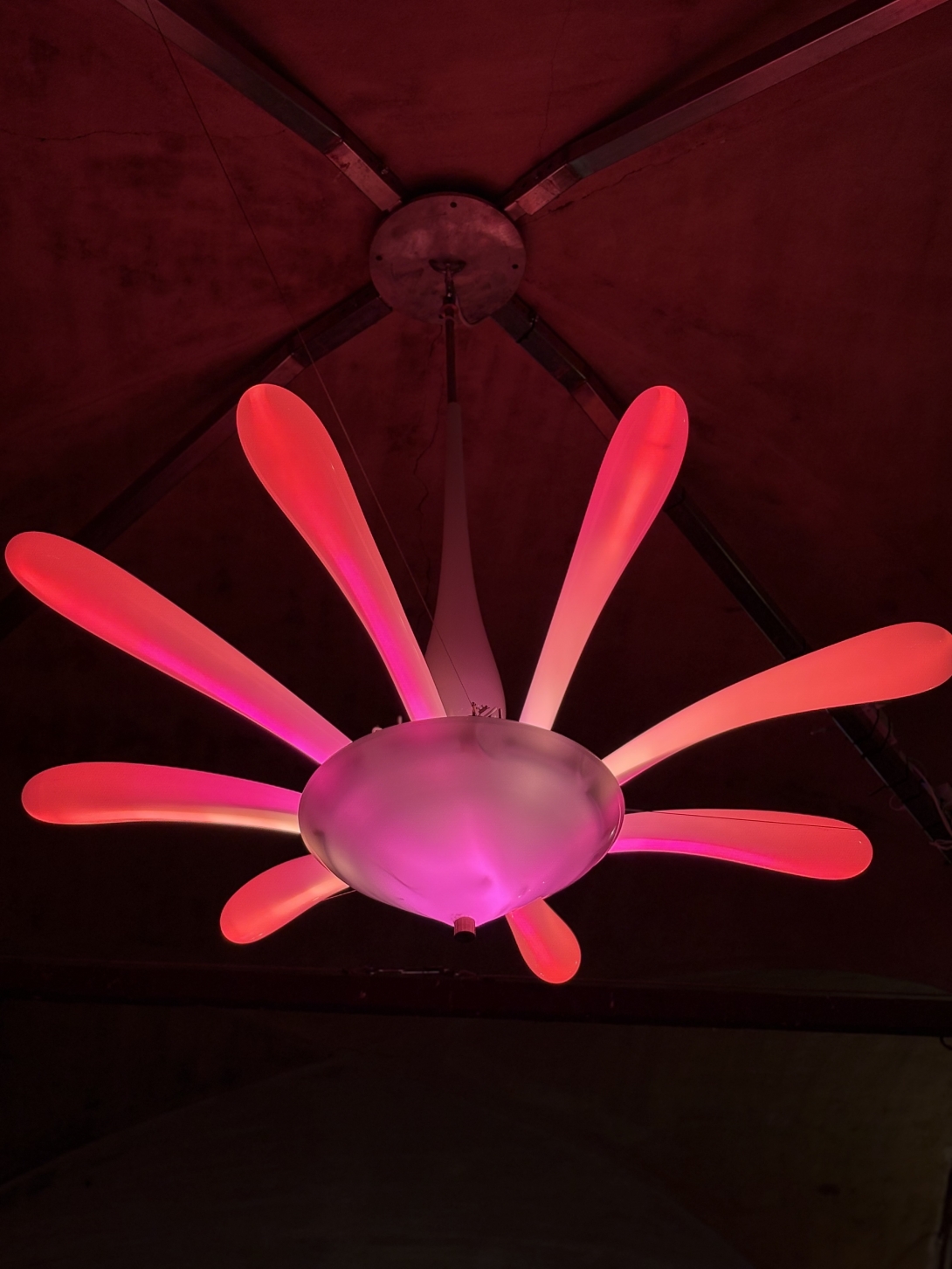 Murano Illumina il Mondo