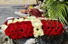 Immagine campione originale