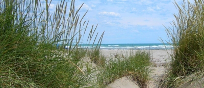paesaggio spiaggia Alberoni