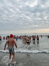 Immagine campione originale