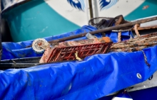 Immagine campione originale