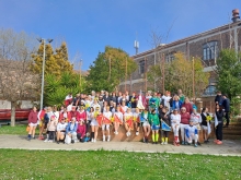 Immagine campione originale