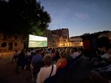 Immagine campione originale